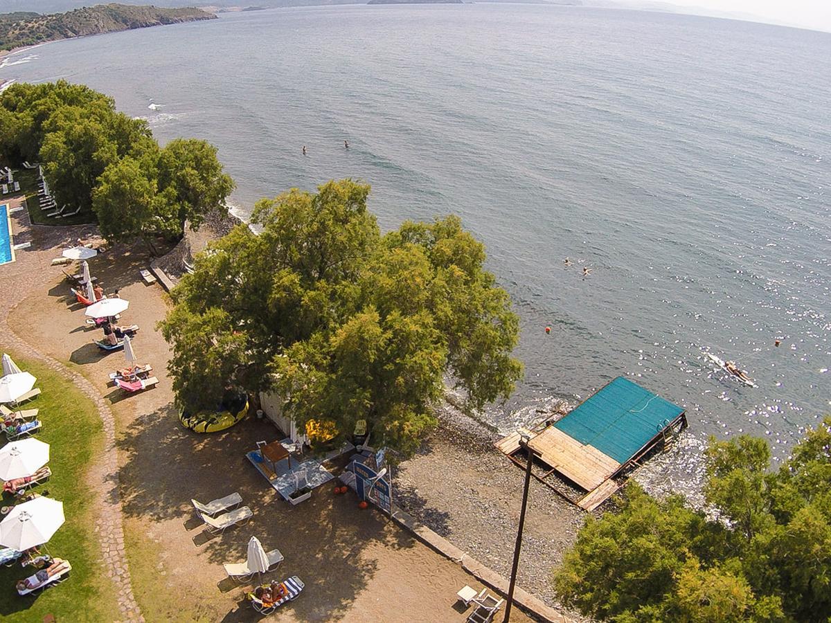 Olive Press Hotel & Apartments Mithimna Exterior foto